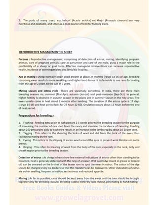 5. The pods of many trees, esp. babool (Acacia arabica) and khejri (Prosopis cineraria) are very
nutritious and palatable, and serve as a good source of feed for flushing ewes.
REPRODUCTIVE MANAGEMENT IN SHEEP
Purpose : Reproductive management, comprising of detection of estrus, mating, identifying pregnant
animals, care of pregnant animals, care at parturition and care of the male, plays a major role in the
profitability of a sheep or goat farm. Effective managerial interventions can increase reproductive
health, incidence of twinning/triplets and lamb/kid livability.
Age at mating : Sheep normally attain good growth at about 24 months (range 18-36) of age. Breeding
too young ewes results in more weaklings and higher lamb losses. It is desirable to use rams for mating
from the age of 2 years till the age of 7 years.
Mating season and estrus cycle : Sheep are seasonally polyestrus. In India, there are three main
breeding seasons viz. summer (Mar-Apr), autumn (Jun-Jul) and post-monsoon (Sep-Oct). In general,
higher fertility is observed in autumn season in the plains and in summer season in the hilly areas. The
ewes usually come in heat about 2 months after lambing. The duration of the estrus cycle is 17 days
(range 14-19) and heat period lasts for 27 hours (2-60). Ovulation occurs about 12 hours before the end
of heat period.
Preparations for breeding :-
1. Flushing : Feeding extra grain or lush pasture 2-3 weeks prior to the breeding season for the purpose
of increasing the number of ova shed from the ovary and increase the incidence of twinning. Feeding
about 250 gms grains daily to each ewe results in an increase in the lamb crop by about 10-20 per cent.
2. Tagging : This refers to the shearing the locks of wool and dirt from the dock of the ewes, thus
facilitating mating by the ram.
3. Eyeing : This refers to the clipping of excess wool around the eyes to prevent wool blindness in some
breeds.
4. Ringing : This refers to shearing of wool from the body of the ram, especially in the neck, belly and
sheath region prior to the breeding season.
Detection of estrus : As sheep in heat show few external indications of estrus other than standing to be
mounted, heat is generally detected with the help of a teaser. Wet paint (dye mixed in grease or linseed
oil) can be smeared on the brisket of the teaser ram to spot the ewes in estrus. The colour of the dye
should be changed every 16-18 days so that the repeaters can be discovered. Other indications of estrus
are vulvar swelling, frequent urination, restlessness and reduced appetite.
Mating : As far as possible, rams should be kept away from the ewes and the two should be brought
together only for breeding. Natural breeding is done either by flock mating, pen mating or hand mating.
 
