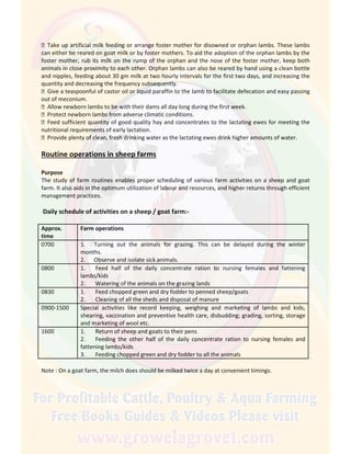  Take up artificial milk feeding or arrange foster mother for disowned or orphan lambs. These lambs
can either be reared on goat milk or by foster mothers. To aid the adoption of the orphan lambs by the
foster mother, rub its milk on the rump of the orphan and the nose of the foster mother, keep both
animals in close proximity to each other. Orphan lambs can also be reared by hand using a clean bottle
and nipples, feeding about 30 gm milk at two hourly intervals for the first two days, and increasing the
quantity and decreasing the frequency subsequently.
 Give a teaspoonful of castor oil or liquid paraffin to the lamb to facilitate defecation and easy passing
out of meconium.
 Allow newborn lambs to be with their dams all day long during the first week.
 Protect newborn lambs from adverse climatic conditions.
 Feed sufficient quantity of good quality hay and concentrates to the lactating ewes for meeting the
nutritional requirements of early lactation.
 Provide plenty of clean, fresh drinking water as the lactating ewes drink higher amounts of water.
Routine operations in sheep farms
Purpose
The study of farm routines enables proper scheduling of various farm activities on a sheep and goat
farm. It also aids in the optimum utilization of labour and resources, and higher returns through efficient
management practices.
Daily schedule of activities on a sheep / goat farm:-
Approx.
time
Farm operations
0700 1. Turning out the animals for grazing. This can be delayed during the winter
months.
2. Observe and isolate sick animals.
0800 1. Feed half of the daily concentrate ration to nursing females and fattening
lambs/kids
2. Watering of the animals on the grazing lands
0830 1. Feed chopped green and dry fodder to penned sheep/goats
2. Cleaning of all the sheds and disposal of manure
0900-1500 Special activities like record keeping, weighing and marketing of lambs and kids,
shearing, vaccination and preventive health care, disbudding; grading, sorting, storage
and marketing of wool etc.
1600 1. Return of sheep and goats to their pens
2. Feeding the other half of the daily concentrate ration to nursing females and
fattening lambs/kids
3. Feeding chopped green and dry fodder to all the animals
Note : On a goat farm, the milch does should be milked twice a day at convenient timings.
 