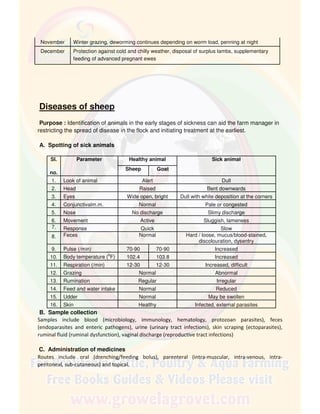 November Winter grazing, deworming continues depending on worm load, penning at night
December Protection against cold and chilly weather, disposal of surplus lambs, supplementary
feeding of advanced pregnant ewes
Diseases of sheep
Purpose : Identification of animals in the early stages of sickness can aid the farm manager in
restricting the spread of disease in the flock and initiating treatment at the earliest.
A. Spotting of sick animals
Sl.
no.
Parameter Healthy animal Sick animal
Sheep Goat
1. Look of animal Alert Dull
2. Head Raised Bent downwards
3. Eyes Wide open, bright Dull with white deposition at the corners
4. Conjunctivalm.m. Normal Pale or congested
5. Nose No discharge Slimy discharge
6. Movement Active Sluggish, lameness
7. Response Quick Slow
8. Feces Normal Hard / loose, mucus/blood-stained,
discolouration, dysentry
9. Pulse (/min) 70-90 70-90 Increased
10. Body temperature (
o
F) 102.4 103.8 Increased
11. Respiration (/min) 12-30 12-30 Increased, difficult
12. Grazing Normal Abnormal
13. Rumination Regular Irregular
14. Feed and water intake Normal Reduced
15. Udder Normal May be swollen
16. Skin Healthy Infected, external parasites
B. Sample collection
Samples include blood (microbiology, immunology, hematology, protozoan parasites), feces
(endoparasites and enteric pathogens), urine (urinary tract infections), skin scraping (ectoparasites),
ruminal fluid (ruminal dysfunction), vaginal discharge (reproductive tract infections)
C. Administration of medicines
Routes include oral (drenching/feeding bolus), parenteral (intra-muscular, intra-venous, intra-
peritoneal, sub-cutaneous) and topical.
 