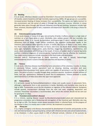 (1) Blackleg
It is an acute, infectious disease caused by Clostridium chauvoei and characterized by inflammation
of muscles, severe toxaemia and high mortality (approaching 100%). All age groups are susceptible.
Increased protein feeding of sheep increases their susceptibility. The spores are highly resistant to
the environment and the portal of entry is through the alimentary mucosa. Infection in sheep
generally takes place through skin wounds following shearing and docking. Symptoms include high
fever, anorexia, discolouration of skin, crepitation and depression. Penicillin is the drug o choice for
treatment.
(2) Enterotoxaemia (pulpy kidney)
It is an acute disease of sheep of all ages, but primarily of lambs. It affects animals in a high state of
nutrition on a lush feed, grass or grain. Morbidity rates seldom exceed 10% but mortality rate
approximates 100%. It is caused by Clostridium perfringens type D which normally inhabits the
alimentary tract of sheep. Under certain conditions, the organism proliferated rapidly in the
intestines and produces lethal quantity of toxin. In lambs, the course of illness is very short, often
less than 2 hours and never more than 12 hours, and many are found dead without manifesting
early signs. Symptoms include green, pasty diarrhea, staggering, recumbency, opisthotonus, and
acute, clonic convulsions with frothing at the mouth. A history of sudden death of several big lambs
justifies a tentative diagnosis of enterotoxaemia. Suphadimidine may be effective for treatment.
Two major control measures include reduction in the feed intake and vaccination.
Infection with Cl. Perfringens type B (lamb dysentery) and type C (struck, hemorrhagic
enterotoxaemia) result in severe enteritis with diarrhea and dysentery in lambs.
(3) Tetanus
It is an acute, infectious disease manifested by tonic convulsions of the voluntary muscles. In sheep,
it commonly follows routine operations such as shearing, docking, castration and even
vaccination.Clostridiumtetani form spores which are capable of persisting in soil for a number of
years. The portal of entry is usually through deep, puncture wounds. Symptoms include stiffness of
limbs, lock jaw, opisthotonus, followed by death due to asphyxiation. Tetanus antitoxin is usually
administered but is of little value when the signs have appeared.
(4) Pasteurellosis
It is primarily caused by Pasteurellahaemolytica in sheep and usually occurs in pneumonic form,
although a septicaemic form is not uncommon in lambs. Morbidity and mortality rates may be as
high as 40%. Transmission occurs by the inhalation or ingestion of the infected material. Symptoms
include pyrexia, mucopurulent discharge from the eyes and nose, coughing, depression and
anorexia. Preventive vaccination is recommended, after which the animals should not be sent out
for grazing for 2-3 days.
(5) Paratuberculosis (Johne’s disease)
It is a chronic, wasting disease caused by Mycobacteirumparatuberculosis and characterized by
progressive emaciation and a thickening and corrugation of the intestinal wall. Mortality rate may
be as high as 10%. The disease causes severe economic losses in infected flocks. As the progress of
the disease is slow, it is mostly seen in older animals. No treatment is successful.
(6) Sheep pox
It is a highly contagious viral disease characterized by development of vesicles and pustules on the
skin and internal lesions. Spread may be by contact with infected animals and contaminated articles,
or by inhalation. It often causes death in 50% of affected animals. Infection of the pustules by
 