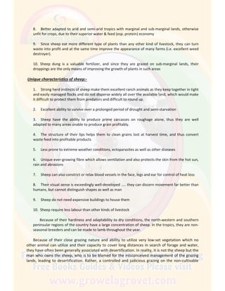 8. Better adapted to arid and semi-arid tropics with marginal and sub-marginal lands, otherwise
unfit for crops, due to their superior water & feed (esp. protein) economy
9. Since sheep eat more different type of plants than any other kind of livestock, they can turn
waste into profit and at the same time improve the appearance of many farms (i.e. excellent weed
destroyer).
10. Sheep dung is a valuable fertilizer, and since they are grazed on sub-marginal lands, their
droppings are the only means of improving the growth of plants in such areas
Unique characteristics of sheep:-
1. Strong herd instincts of sheep make them excellent ranch animals as they keep together in tight
and easily managed flocks and do not disperse widely all over the available land, which would make
it difficult to protect them from predators and difficult to round up.
2. Excellent ability to survive over a prolonged period of drought and semi-starvation
3. Sheep have the ability to produce prime carcasses on roughage alone, thus they are well
adapted to many areas unable to produce grain profitably.
4. The structure of their lips helps them to clean grains lost at harvest time, and thus convert
waste feed into profitable products
5. Less prone to extreme weather conditions, ectoparasites as well as other diseases
6. Unique ever-growing fibre which allows ventilation and also protects the skin from the hot sun,
rain and abrasions
7. Sheep can also constrict or relax blood vessels in the face, legs and ear for control of heat loss
8. Their visual sense is exceedingly well-developed ….. they can discern movement far better than
humans, but cannot distinguish shapes as well as man
9. Sheep do not need expensive buildings to house them
10. Sheep require less labour than other kinds of livestock
Because of their hardiness and adaptability to dry conditions, the north-western and southern
peninsular regions of the country have a large concentration of sheep. In the tropics, they are non-
seasonal breeders and can be made to lamb throughout the year.
Because of their close grazing nature and ability to utilize very low-set vegetation which no
other animal can utilize and their capacity to cover long distances in search of forage and water,
they have often been generally associated with desertification. In reality, it is not the sheep but the
man who owns the sheep, who is to be blamed for the misconceived management of the grazing
lands, leading to desertification. Rather, a controlled and judicious grazing on the non-cultivable
 