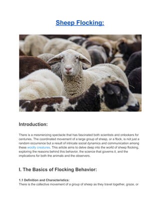 Sheep Flocking:
Introduction:
There is a mesmerizing spectacle that has fascinated both scientists and onlookers for
centuries. The coordinated movement of a large group of sheep, or a flock, is not just a
random occurrence but a result of intricate social dynamics and communication among
these woolly creatures. This article aims to delve deep into the world of sheep flocking,
exploring the reasons behind this behavior, the science that governs it, and the
implications for both the animals and the observers.
I. The Basics of Flocking Behavior:
1.1 Definition and Characteristics:
There is the collective movement of a group of sheep as they travel together, graze, or
 
