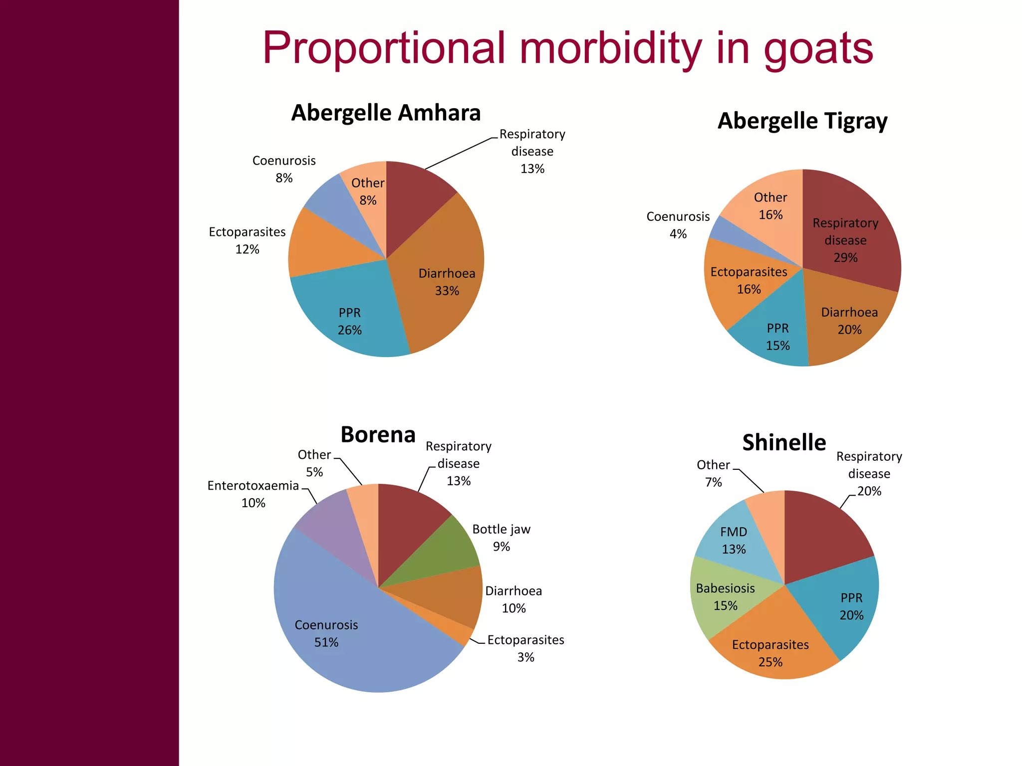 Proportional morbidity in goats
Abergelle Amhara
Coenurosis
8%

Abergelle Tigray

Respiratory
disease
13%
Other
8%

Other
16%

Coenurosis
4%

Ectoparasites
12%

Ectoparasites
16%

Diarrhoea
33%
PPR
26%

Other
5%
Enterotoxaemia
10%

Borena

PPR
15%

Respiratory
disease
13%
Bottle jaw
9%
Diarrhoea
10%

Coenurosis
51%

Respiratory
disease
29%

Ectoparasites
3%

Diarrhoea
20%

Shinelle
Other
7%

Respiratory
disease
20%

FMD
13%
Babesiosis
15%
Ectoparasites
25%

PPR
20%

 