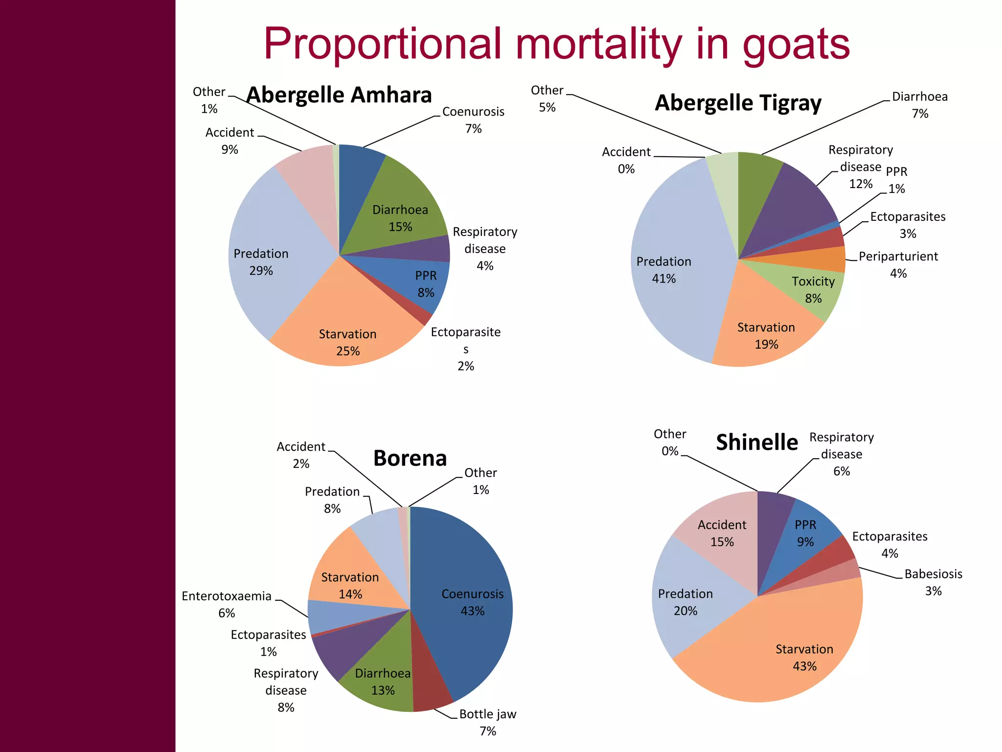Proportional mortality in goats
Other
1%

Abergelle Amhara

Accident
9%

Coenurosis
7%

Other
5%

Respiratory
disease PPR
12% 1%

Accident
0%
Diarrhoea
15%

Predation
29%

Respiratory
disease
4%

PPR
8%
Starvation
25%

Accident
2%
Predation
8%

Ectoparasites
3%
Predation
41%

Toxicity
8%

Other
0%

Shinelle

Other
1%
Accident
15%

Enterotoxaemia
6%

Starvation
14%

Coenurosis
43%

Ectoparasites
1%
Respiratory
disease
8%

Respiratory
disease
6%

PPR
9%

Predation
20%
Starvation
43%

Diarrhoea
13%
Bottle jaw
7%

Periparturient
4%

Starvation
19%

Ectoparasite
s
2%

Borena

Diarrhoea
7%

Abergelle Tigray

Ectoparasites
4%
Babesiosis
3%

 