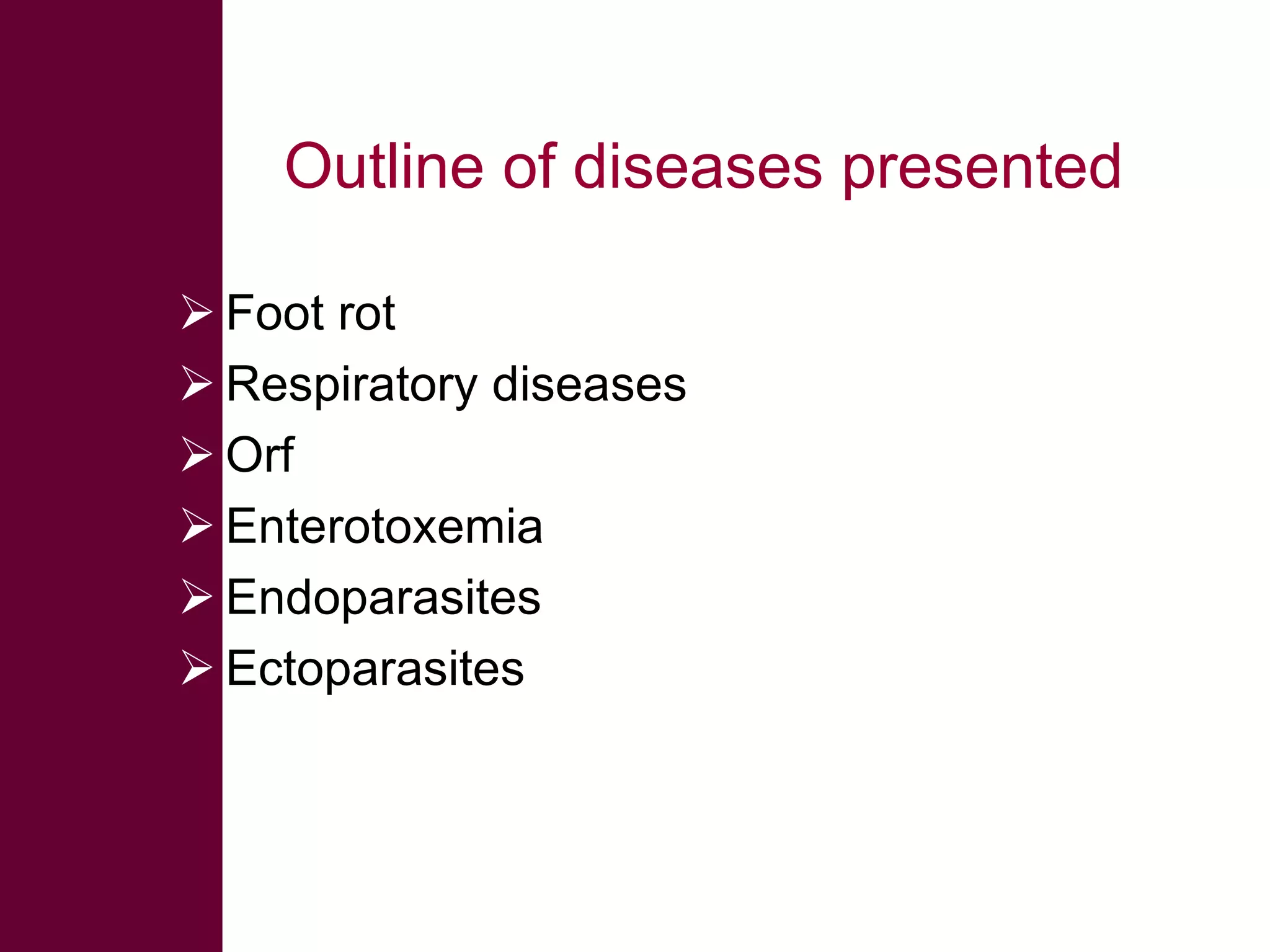Outline of diseases presented
 Foot rot
 Respiratory diseases
 Orf
 Enterotoxemia
 Endoparasites
 Ectoparasites

 