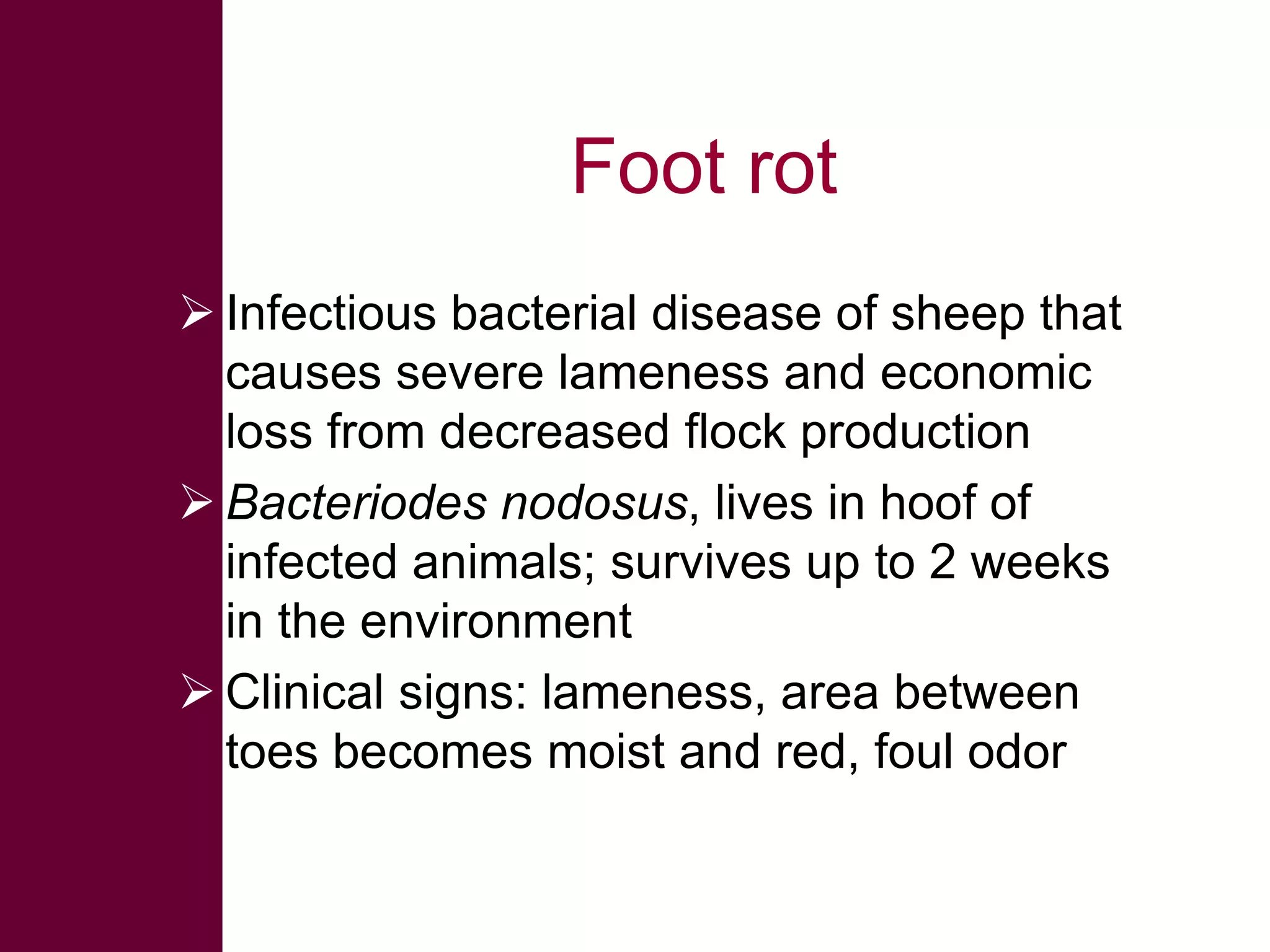 Foot rot
 Infectious bacterial disease of sheep that
causes severe lameness and economic
loss from decreased flock production
 Bacteriodes nodosus, lives in hoof of
infected animals; survives up to 2 weeks
in the environment
 Clinical signs: lameness, area between
toes becomes moist and red, foul odor

 