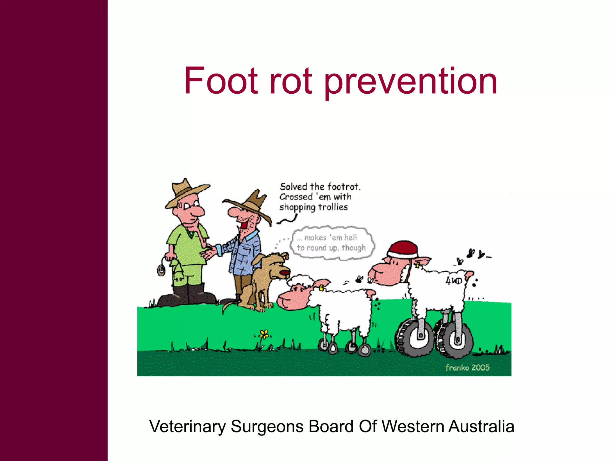 Foot rot prevention

Veterinary Surgeons Board Of Western Australia

 
