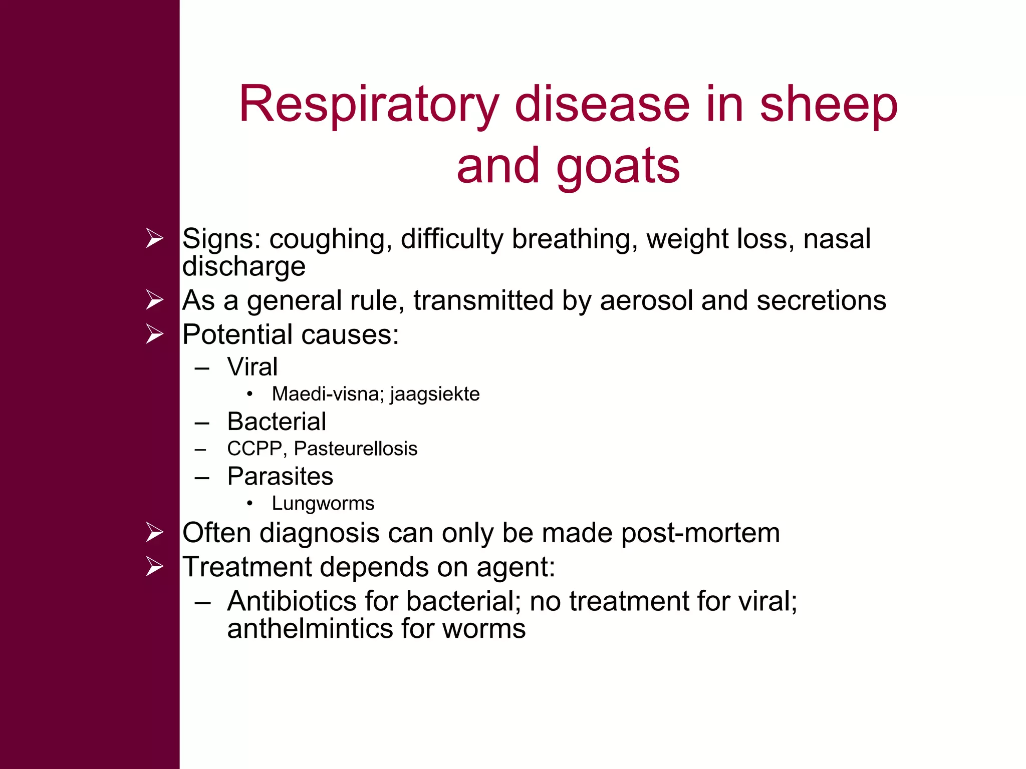 Respiratory disease in sheep
and goats
 Signs: coughing, difficulty breathing, weight loss, nasal
discharge
 As a general rule, transmitted by aerosol and secretions
 Potential causes:
– Viral
• Maedi-visna; jaagsiekte

– Bacterial
–

CCPP, Pasteurellosis

– Parasites
• Lungworms

 Often diagnosis can only be made post-mortem
 Treatment depends on agent:
– Antibiotics for bacterial; no treatment for viral;
anthelmintics for worms

 