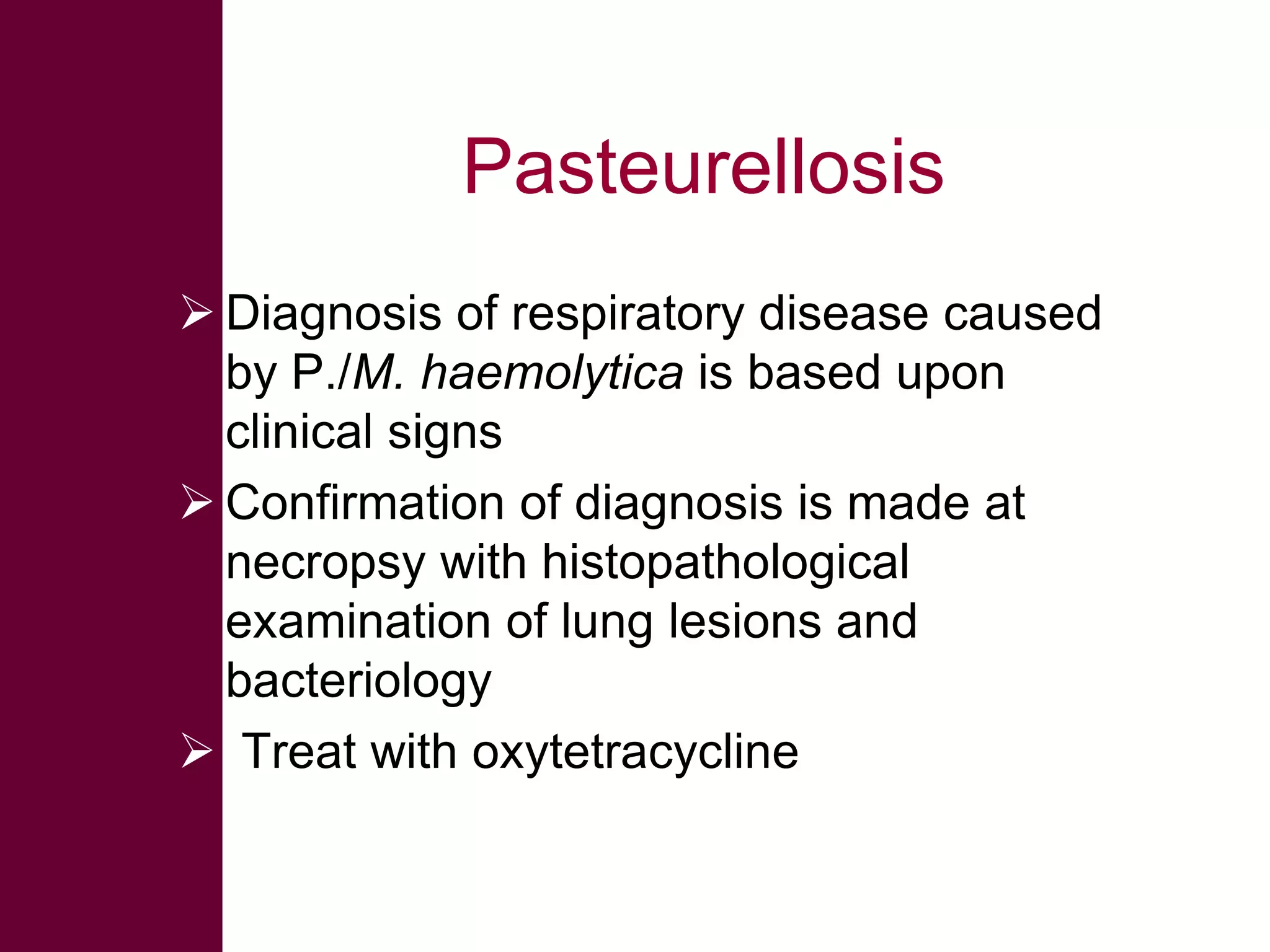 Pasteurellosis
 Diagnosis of respiratory disease caused
by P./M. haemolytica is based upon
clinical signs
 Confirmation of diagnosis is made at
necropsy with histopathological
examination of lung lesions and
bacteriology
 Treat with oxytetracycline

 