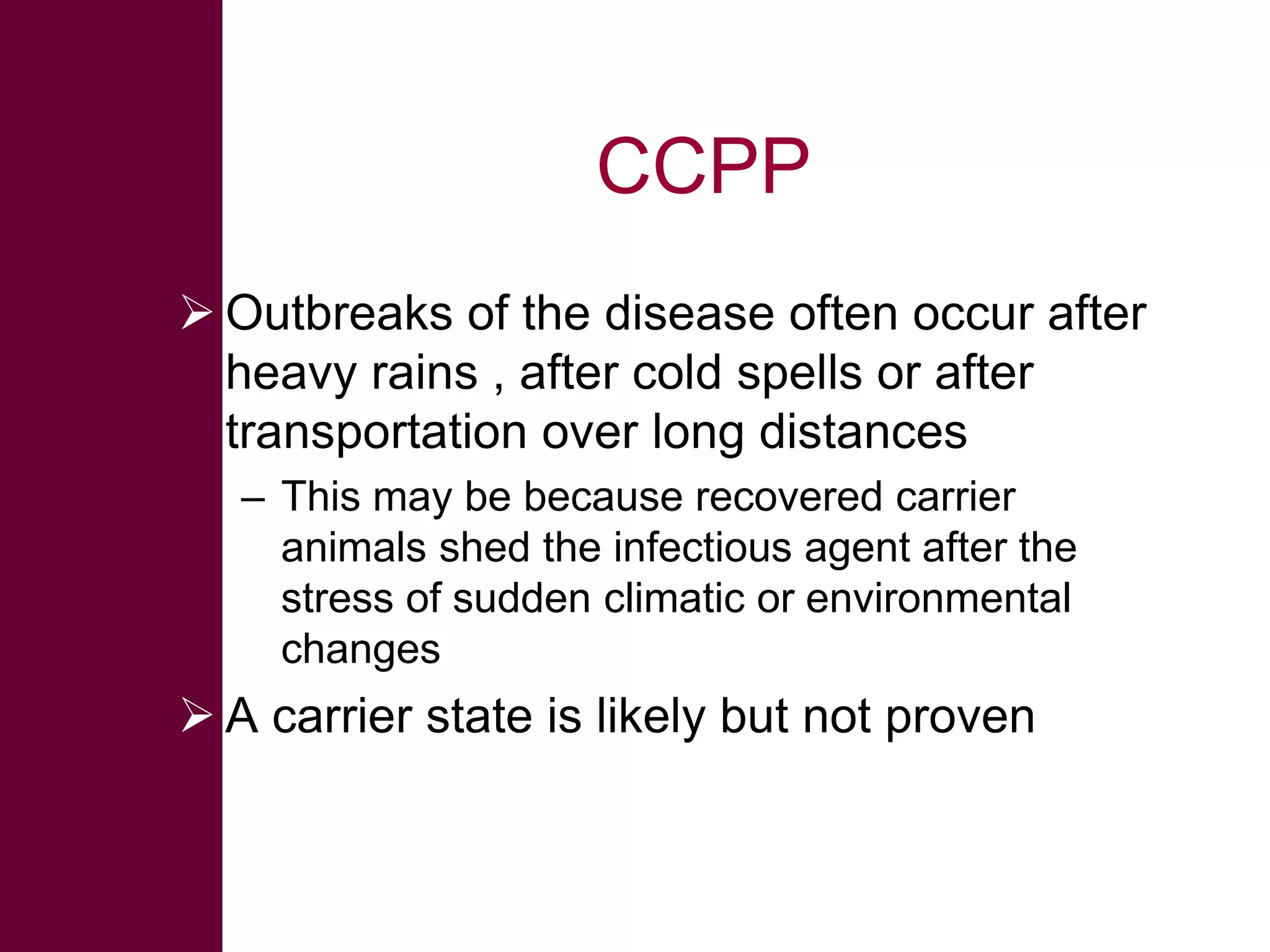 CCPP
 Outbreaks of the disease often occur after
heavy rains , after cold spells or after
transportation over long distances
– This may be because recovered carrier
animals shed the infectious agent after the
stress of sudden climatic or environmental
changes

 A carrier state is likely but not proven

 