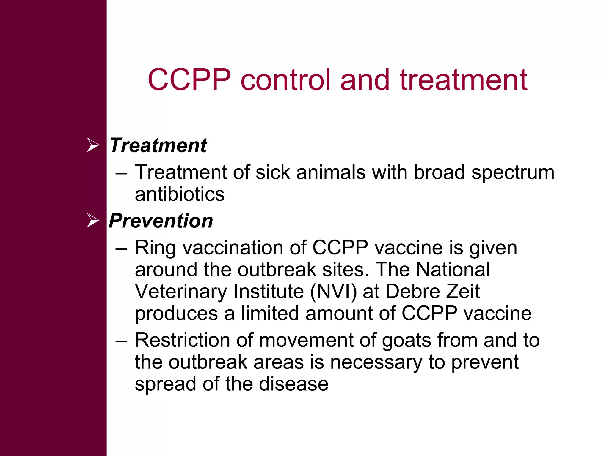 CCPP control and treatment
 Treatment
– Treatment of sick animals with broad spectrum
antibiotics
 Prevention
– Ring vaccination of CCPP vaccine is given
around the outbreak sites. The National
Veterinary Institute (NVI) at Debre Zeit
produces a limited amount of CCPP vaccine
– Restriction of movement of goats from and to
the outbreak areas is necessary to prevent
spread of the disease

 