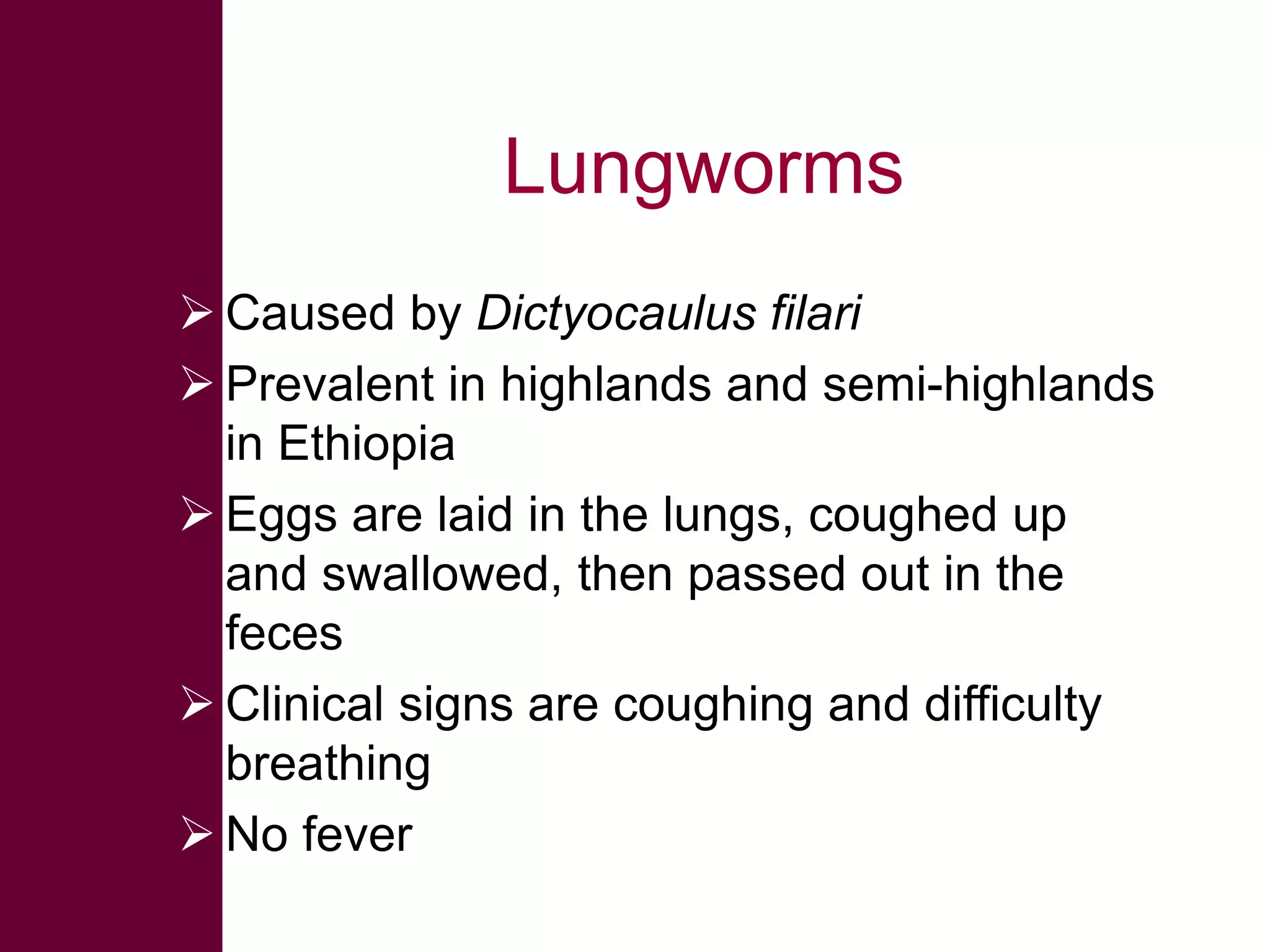 Lungworms
 Caused by Dictyocaulus filari
 Prevalent in highlands and semi-highlands
in Ethiopia
 Eggs are laid in the lungs, coughed up
and swallowed, then passed out in the
feces
 Clinical signs are coughing and difficulty
breathing
 No fever

 