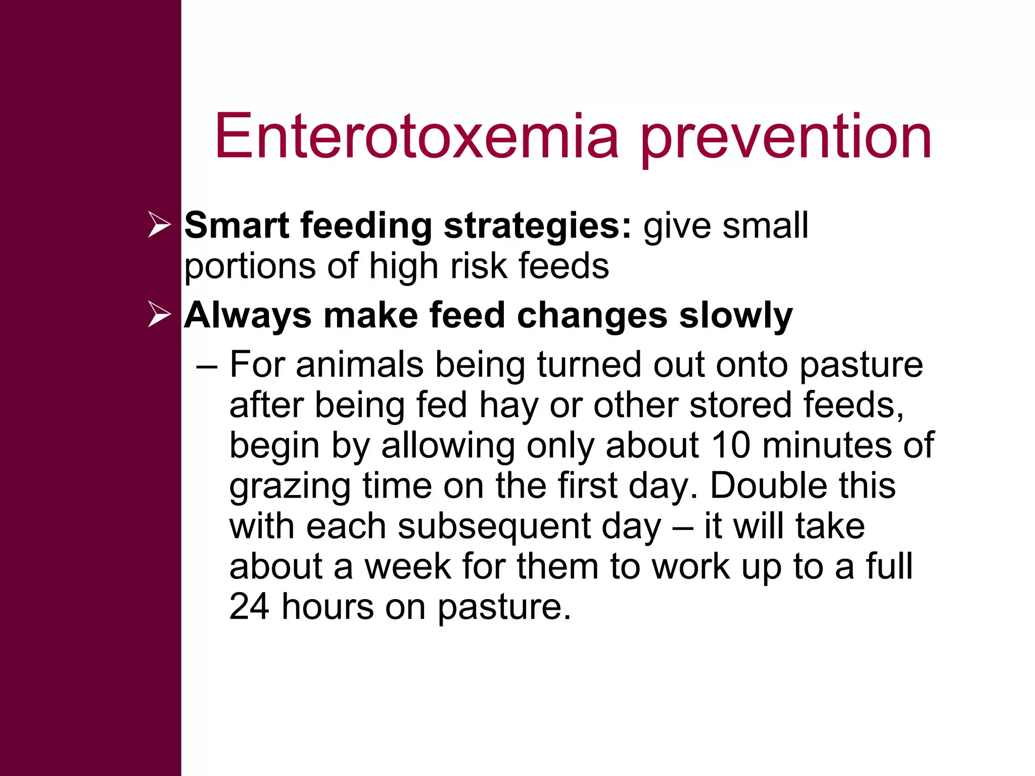 Enterotoxemia prevention
 Smart feeding strategies: give small
portions of high risk feeds
 Always make feed changes slowly
– For animals being turned out onto pasture
after being fed hay or other stored feeds,
begin by allowing only about 10 minutes of
grazing time on the first day. Double this
with each subsequent day – it will take
about a week for them to work up to a full
24 hours on pasture.

 