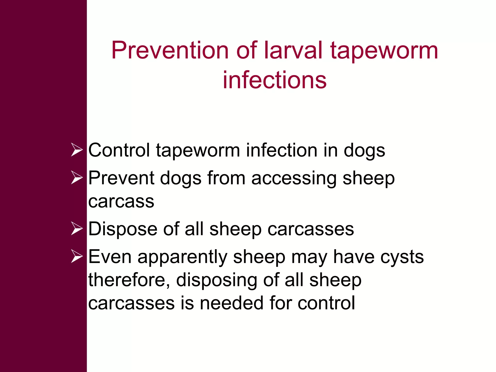 Prevention of larval tapeworm
infections
 Control tapeworm infection in dogs
 Prevent dogs from accessing sheep
carcass
 Dispose of all sheep carcasses
 Even apparently sheep may have cysts
therefore, disposing of all sheep
carcasses is needed for control

 