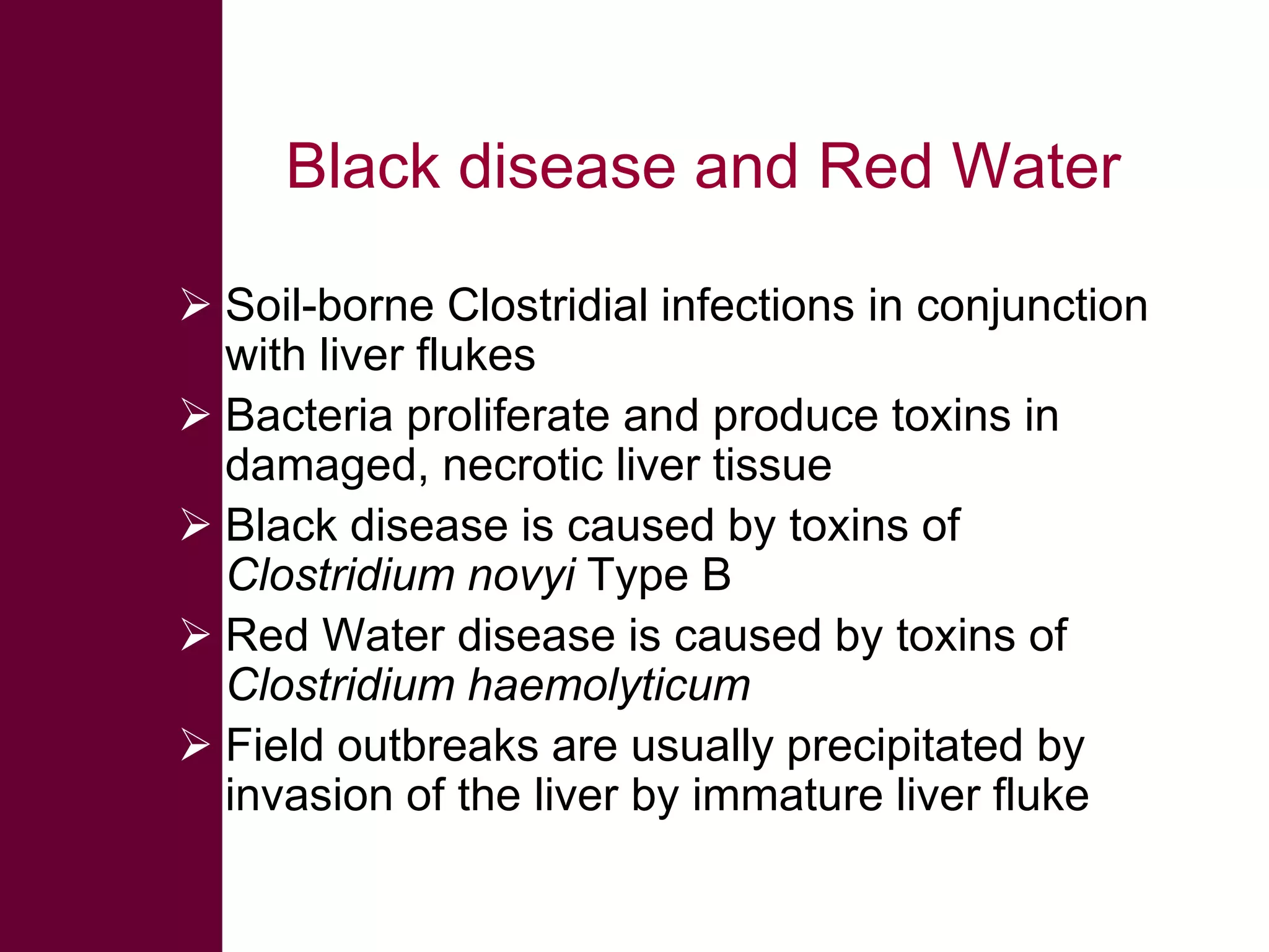 Black disease and Red Water
 Soil-borne Clostridial infections in conjunction
with liver flukes
 Bacteria proliferate and produce toxins in
damaged, necrotic liver tissue
 Black disease is caused by toxins of
Clostridium novyi Type B
 Red Water disease is caused by toxins of
Clostridium haemolyticum
 Field outbreaks are usually precipitated by
invasion of the liver by immature liver fluke

 