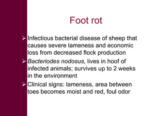 Selected diseases of sheep and goat in the Ethiopian value chain