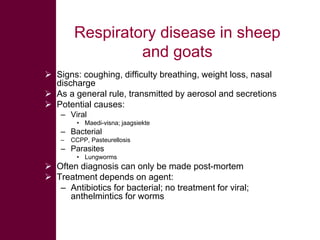 Selected diseases of sheep and goat in the Ethiopian value chain