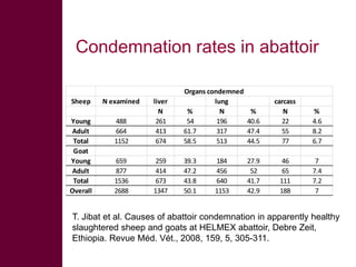 Selected diseases of sheep and goat in the Ethiopian value chain
