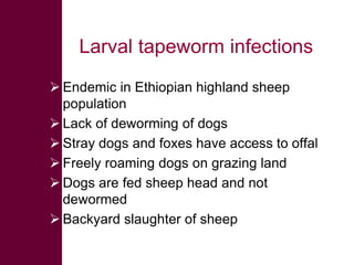 Selected diseases of sheep and goat in the Ethiopian value chain
