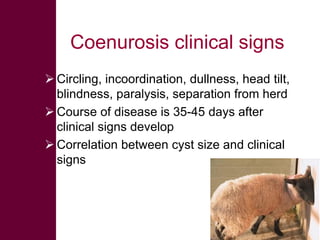 Selected diseases of sheep and goat in the Ethiopian value chain
