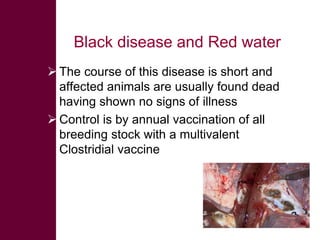 Selected diseases of sheep and goat in the Ethiopian value chain