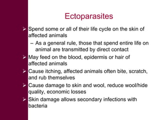 Selected diseases of sheep and goat in the Ethiopian value chain