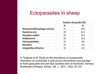 Selected diseases of sheep and goat in the Ethiopian value chain