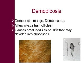 Selected diseases of sheep and goat in the Ethiopian value chain