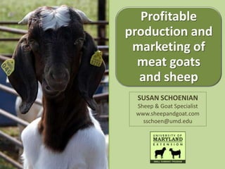 Profitable
production and
 marketing of
  meat goats
  and sheep
  SUSAN SCHOENIAN
 Sheep & Goat Specialist
 www.sheepandgoat.com
   sschoen@umd.edu
 