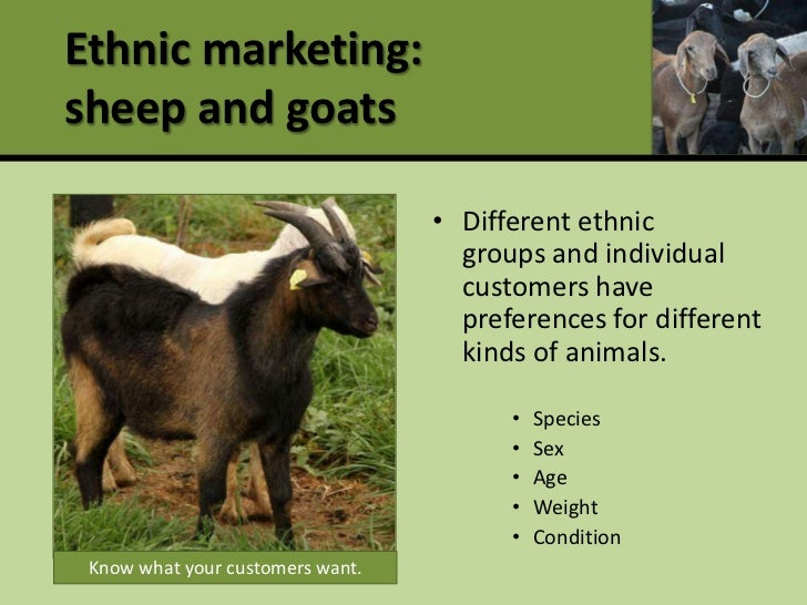 Profitable production and marketing of meat goats and sheep