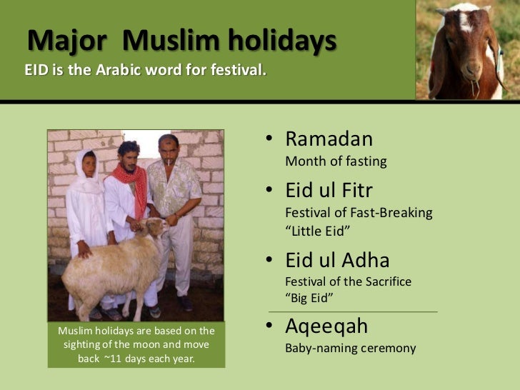 Profitable production and marketing of meat goats and sheep