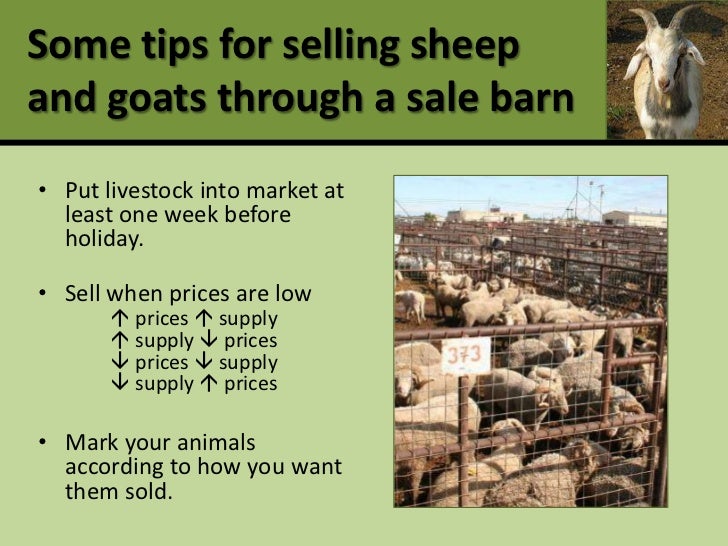 Profitable production and marketing of meat goats and sheep