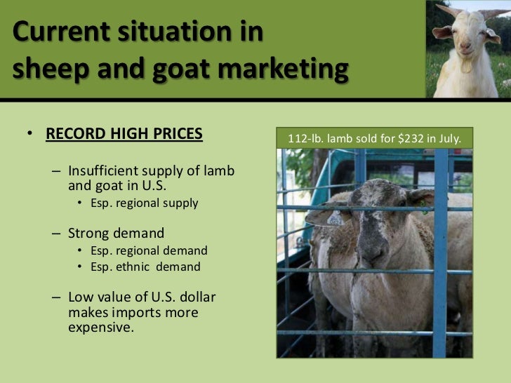 Profitable production and marketing of meat goats and sheep