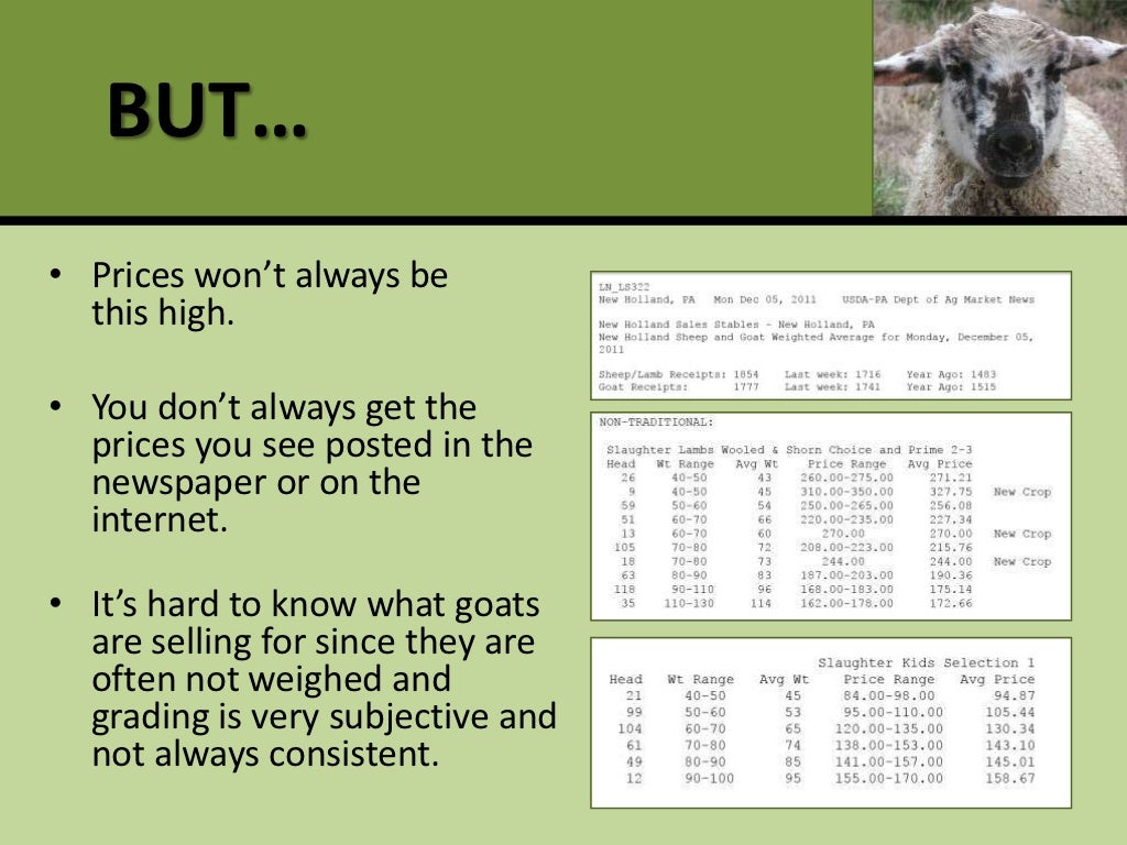 Profitable production and marketing of meat goats and sheep