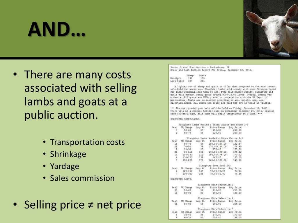 Profitable production and marketing of meat goats and sheep