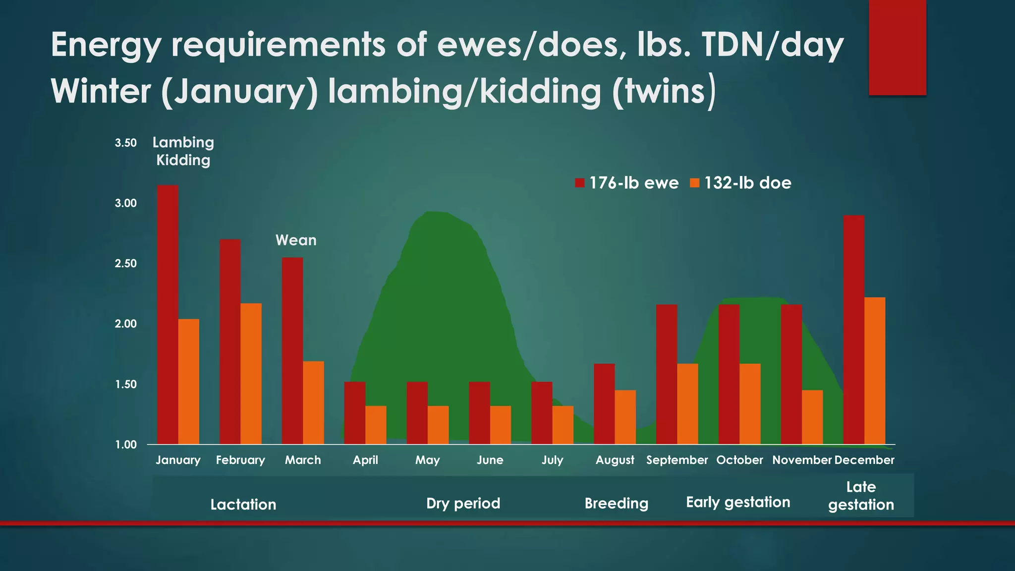 1.00
1.50
2.00
2.50
3.00
3.50
January February March April May June July August September October November December
176-lb ewe 132-lb doe
Energy requirements of ewes/does, lbs. TDN/day
Winter (January) lambing/kidding (twins)
Dry periodLactation Early gestation
Late
gestationBreeding
Lambing
Kidding
Wean
 