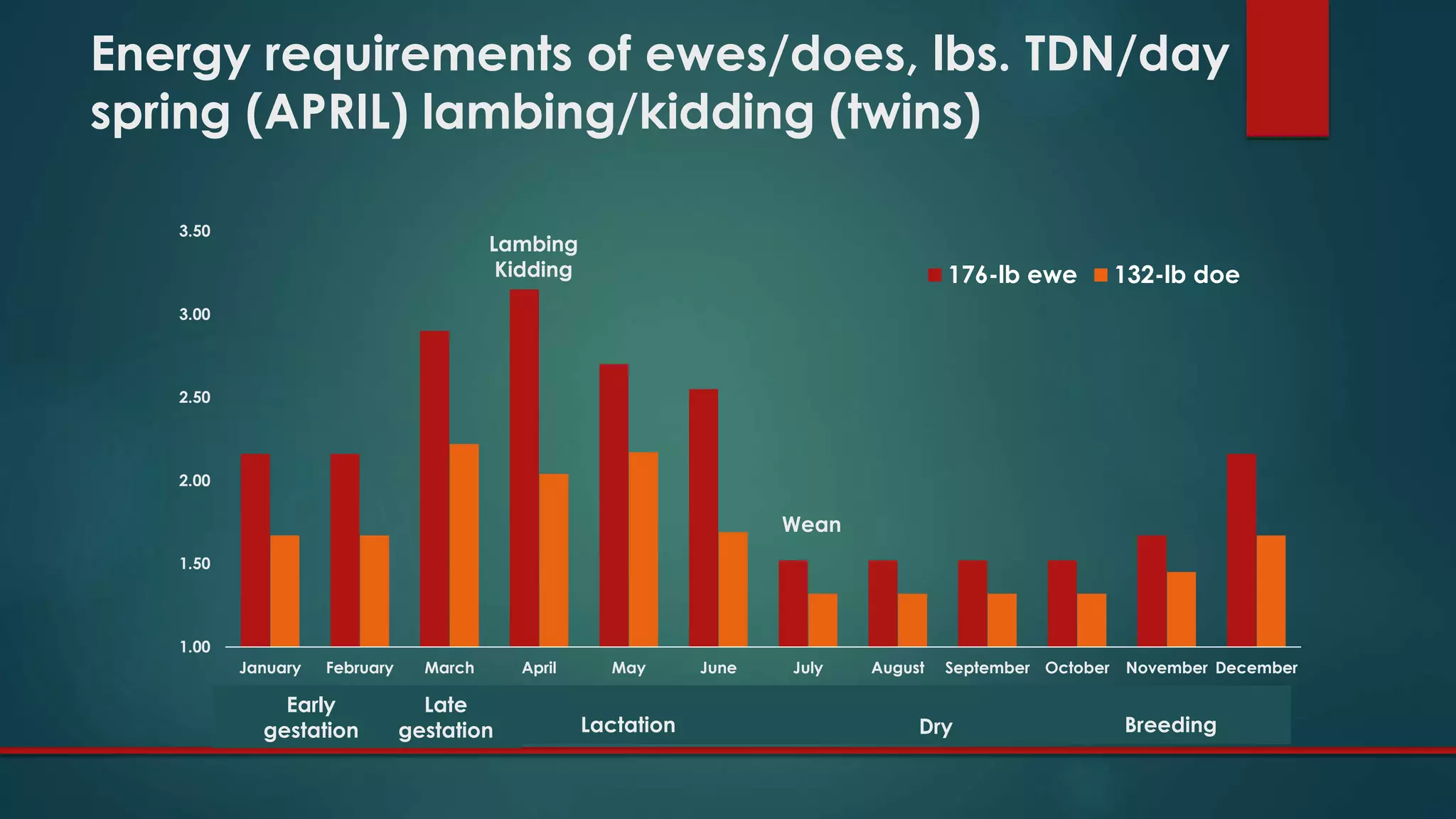 1.00
1.50
2.00
2.50
3.00
3.50
January February March April May June July August September October November December
176-lb ewe 132-lb doe
Energy requirements of ewes/does, lbs. TDN/day
spring (APRIL) lambing/kidding (twins)
DryLactation
Early
gestation
Late
gestation Breeding
Lambing
Kidding
Wean
 