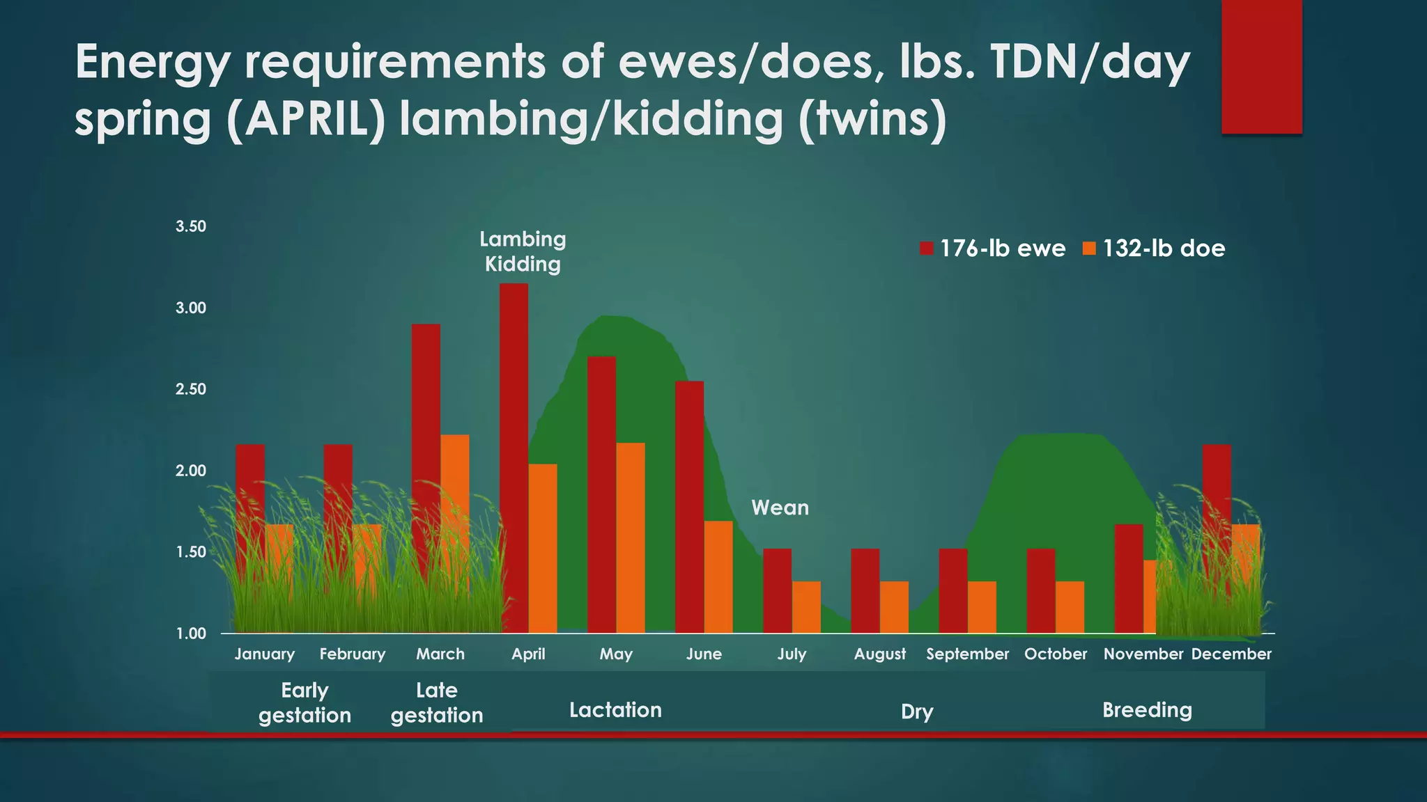 1.00
1.50
2.00
2.50
3.00
3.50
January February March April May June July August September October November December
176-lb ewe 132-lb doe
Energy requirements of ewes/does, lbs. TDN/day
spring (APRIL) lambing/kidding (twins)
DryLactation
Early
gestation
Late
gestation Breeding
Lambing
Kidding
Wean
 