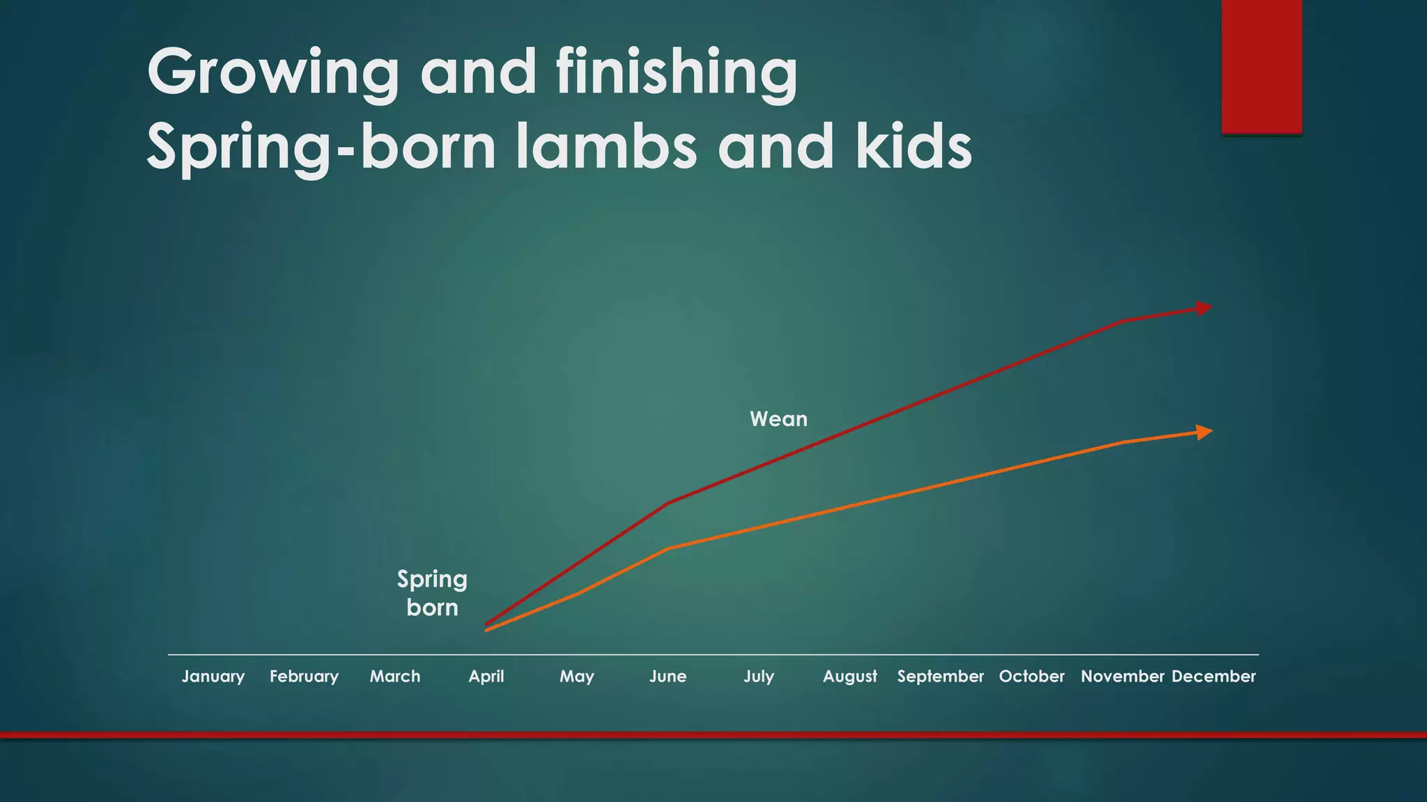 January February March April May June July August September October November December
Growing and finishing
Spring-born lambs and kids
Spring
born
Wean
 