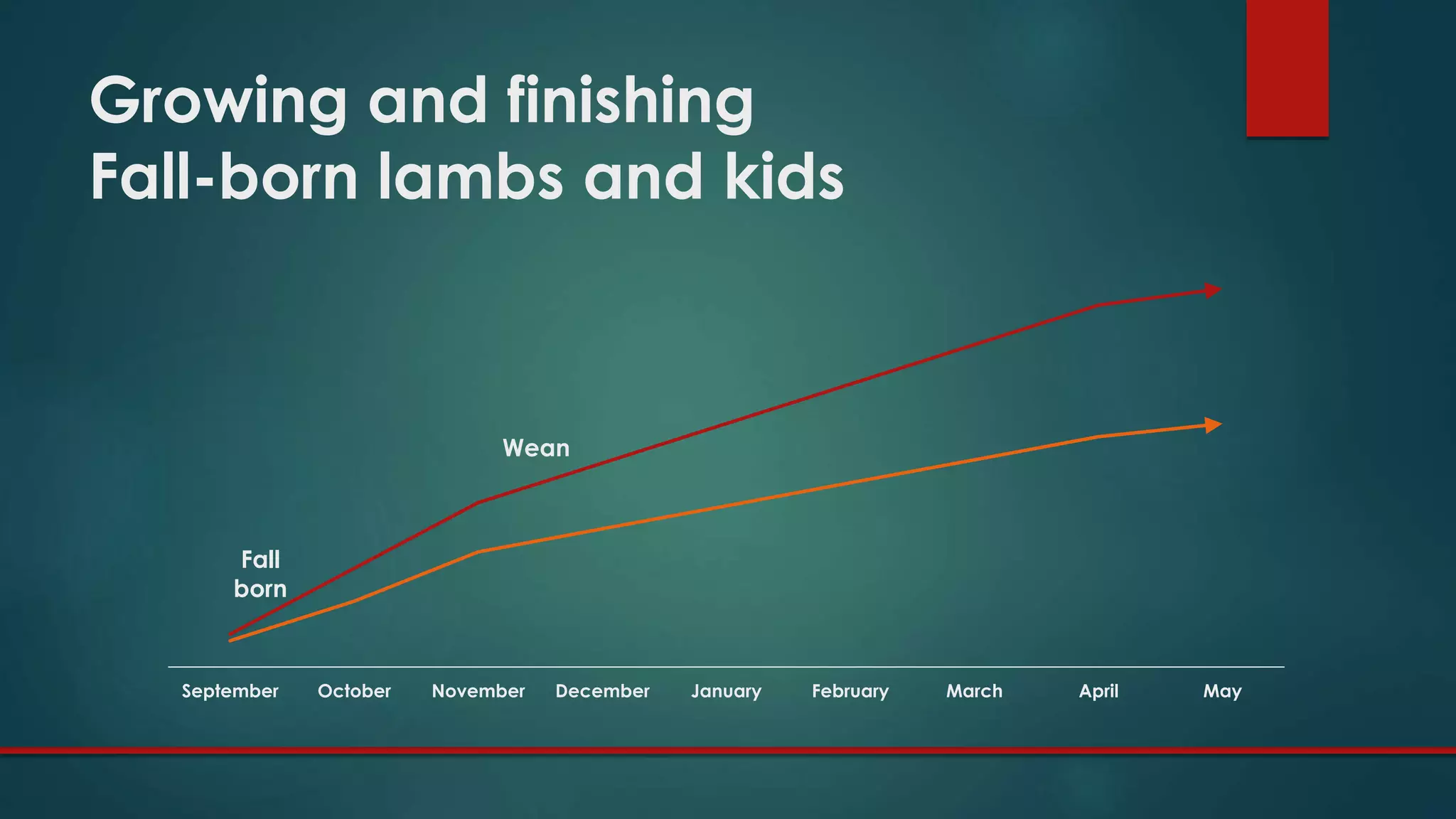 September October November December January February March April May
Growing and finishing
Fall-born lambs and kids
Fall
born
Wean
 