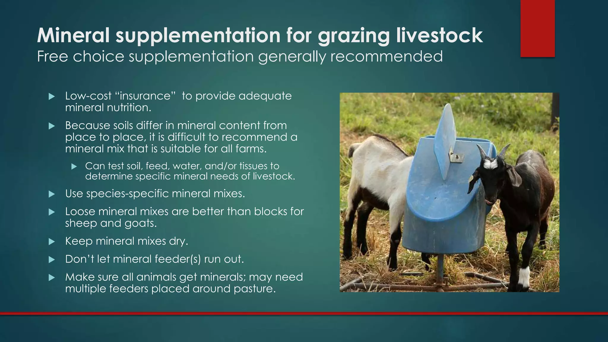 Mineral supplementation for grazing livestock
Free choice supplementation generally recommended
 Low-cost “insurance” to provide adequate
mineral nutrition.
 Because soils differ in mineral content from
place to place, it is difficult to recommend a
mineral mix that is suitable for all farms.
 Can test soil, feed, water, and/or tissues to
determine specific mineral needs of livestock.
 Use species-specific mineral mixes.
 Loose mineral mixes are better than blocks for
sheep and goats.
 Keep mineral mixes dry.
 Don’t let mineral feeder(s) run out.
 Make sure all animals get minerals; may need
multiple feeders placed around pasture.
 