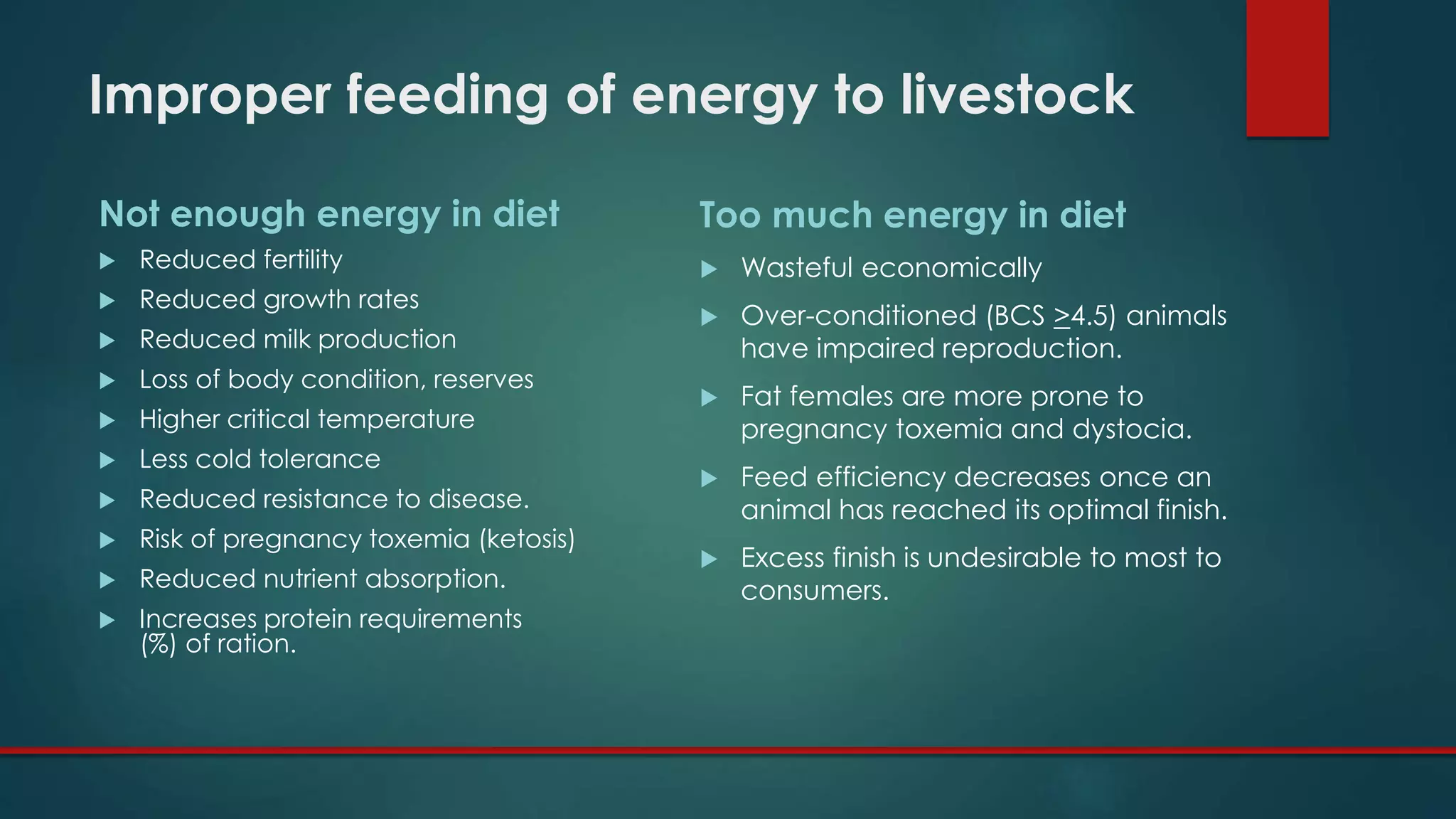 Improper feeding of energy to livestock
Not enough energy in diet
 Reduced fertility
 Reduced growth rates
 Reduced milk production
 Loss of body condition, reserves
 Higher critical temperature
 Less cold tolerance
 Reduced resistance to disease.
 Risk of pregnancy toxemia (ketosis)
 Reduced nutrient absorption.
 Increases protein requirements
(%) of ration.
Too much energy in diet
 Wasteful economically
 Over-conditioned (BCS >4.5) animals
have impaired reproduction.
 Fat females are more prone to
pregnancy toxemia and dystocia.
 Feed efficiency decreases once an
animal has reached its optimal finish.
 Excess finish is undesirable to most to
consumers.
 