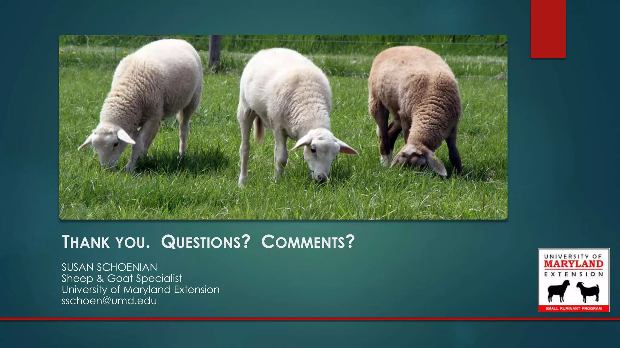 THANK YOU. QUESTIONS? COMMENTS?
SUSAN SCHOENIAN
Sheep & Goat Specialist
University of Maryland Extension
sschoen@umd.edu
 