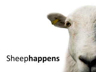Sheephappens 