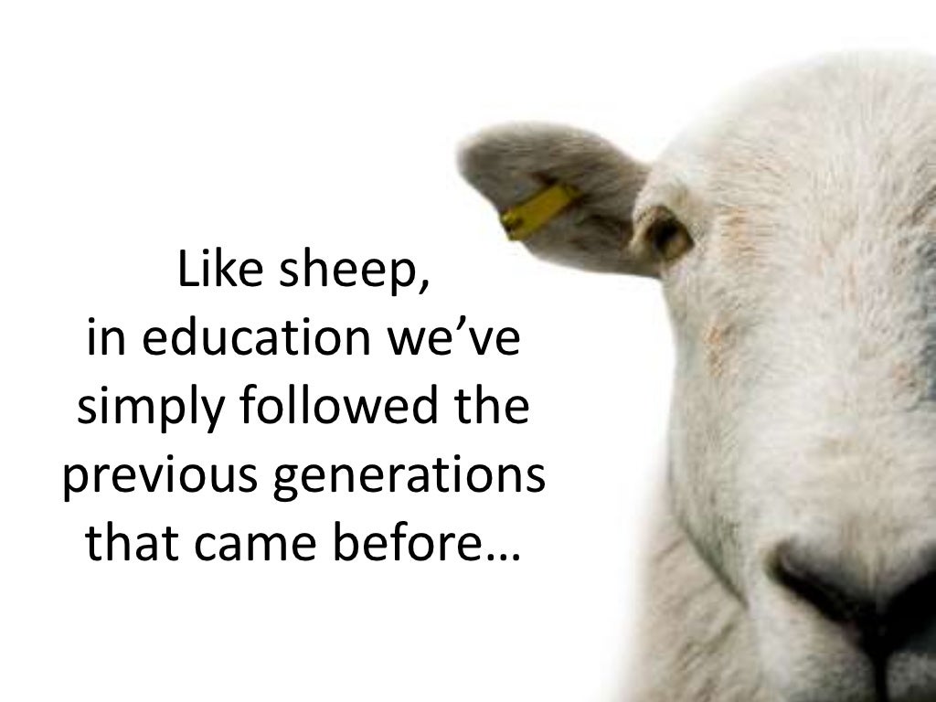 Like sheep, in education we’ve