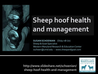 SUSAN SCHOENIAN (Shāy-nē-ŭn)
      Sheep & Goat Specialist
      Western Maryland Research & Education Center
      sschoen@umd.edu - www.sheepandgoat.com




http://www.slideshare.net/schoenian/
sheep-hoof-health-and-management
 