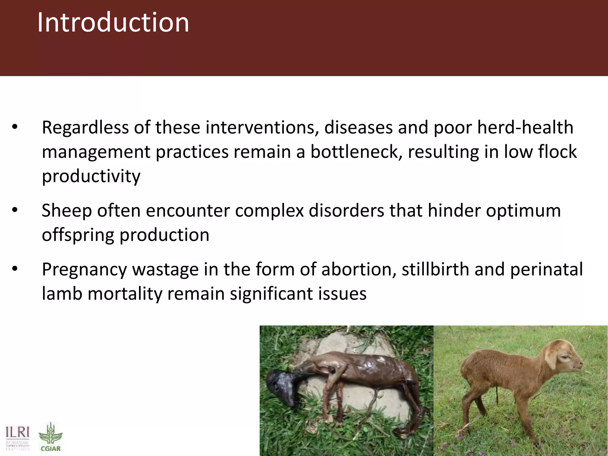 Risk factors for reproductive disorders and major infectious causes of ...