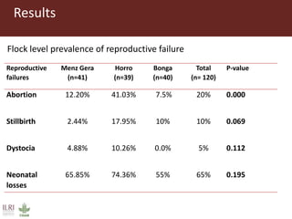 Risk factors for reproductive disorders and major infectious causes of abortion in sheep in the highlands of Ethiopia