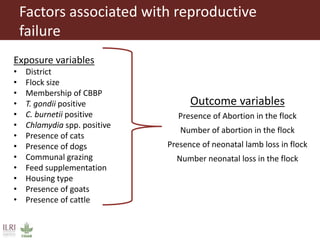 Risk factors for reproductive disorders and major infectious causes of abortion in sheep in the highlands of Ethiopia