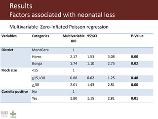 Risk factors for reproductive disorders and major infectious causes of abortion in sheep in the highlands of Ethiopia